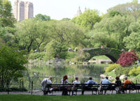 UAI_Clients_CentralPark.jpg